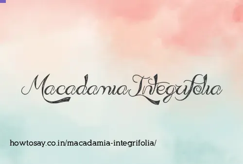 Macadamia Integrifolia