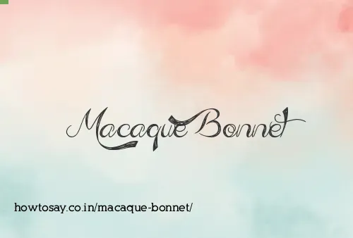 Macaque Bonnet