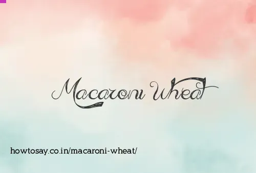 Macaroni Wheat