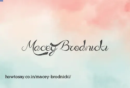 Macey Brodnicki