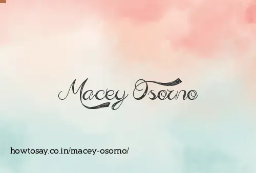 Macey Osorno
