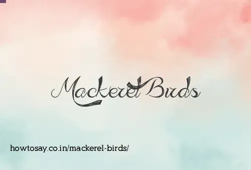 Mackerel Birds
