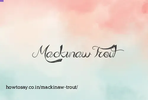 Mackinaw Trout