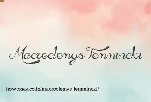 Macroclemys Temmincki