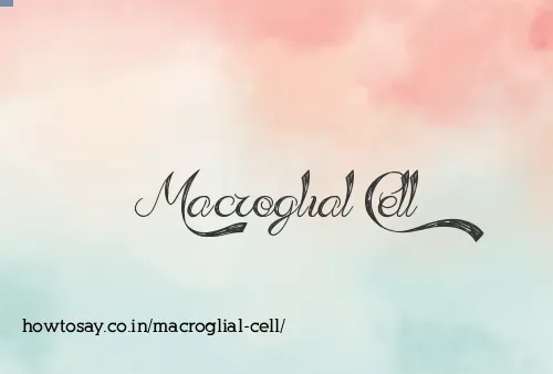 Macroglial Cell