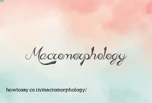 Macromorphology