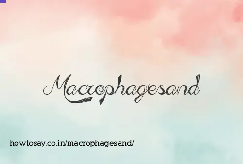 Macrophagesand
