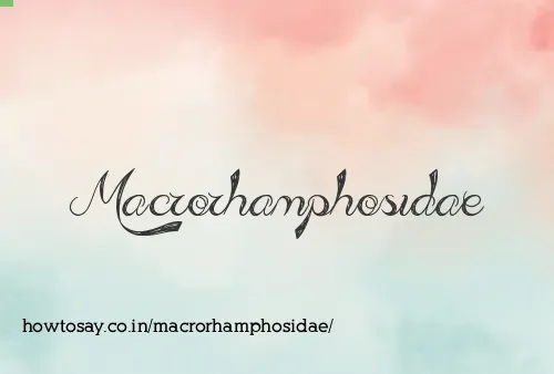 Macrorhamphosidae