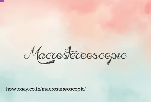 Macrostereoscopic