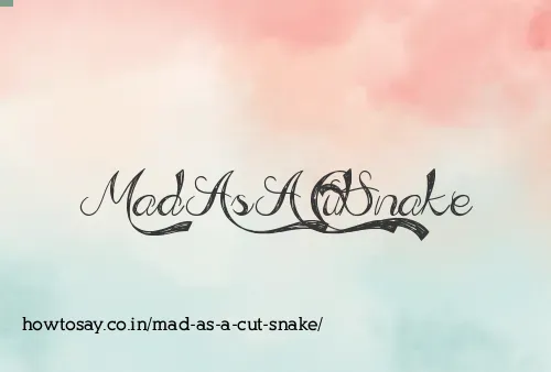 Mad As A Cut Snake