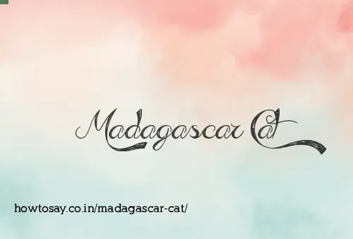 Madagascar Cat