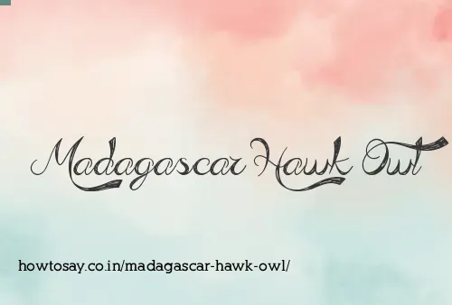 Madagascar Hawk Owl