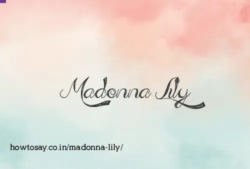 Madonna Lily