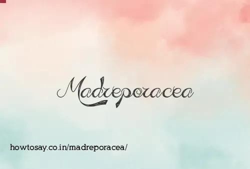 Madreporacea
