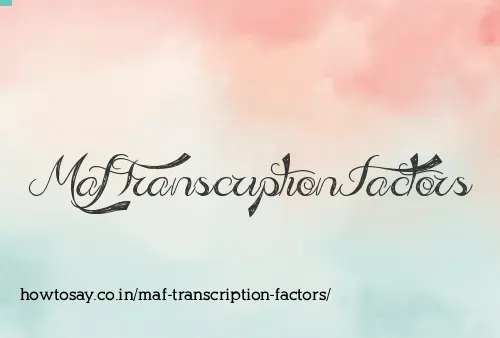 Maf Transcription Factors