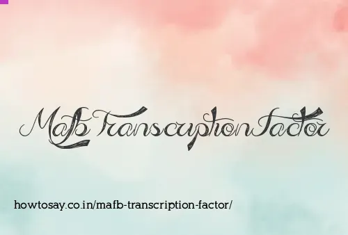 Mafb Transcription Factor