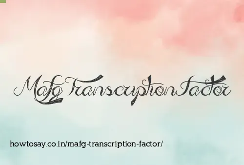 Mafg Transcription Factor