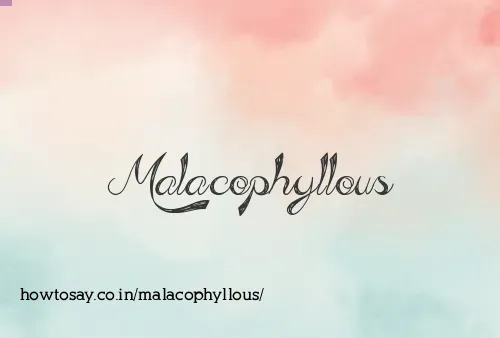 Malacophyllous