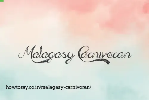 Malagasy Carnivoran