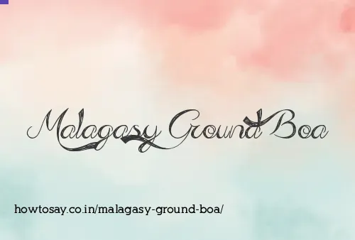 Malagasy Ground Boa