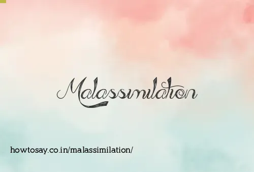 Malassimilation