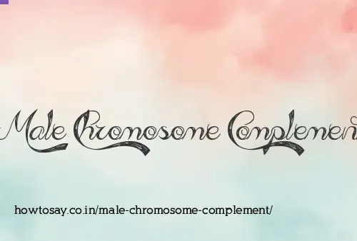 Male Chromosome Complement