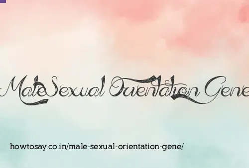 Male Sexual Orientation Gene