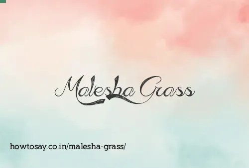 Malesha Grass