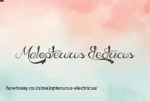 Malopterurus Electricus