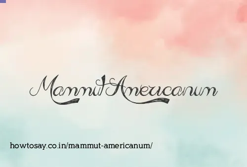 Mammut Americanum