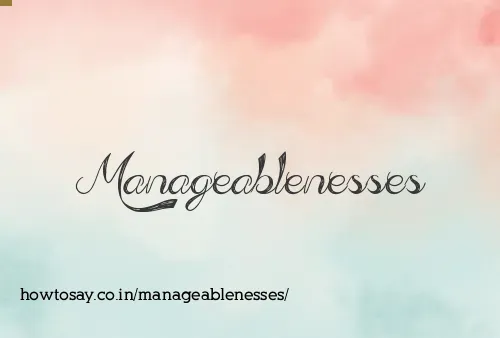 Manageablenesses