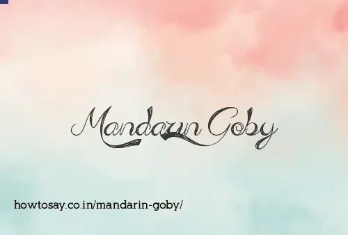 Mandarin Goby