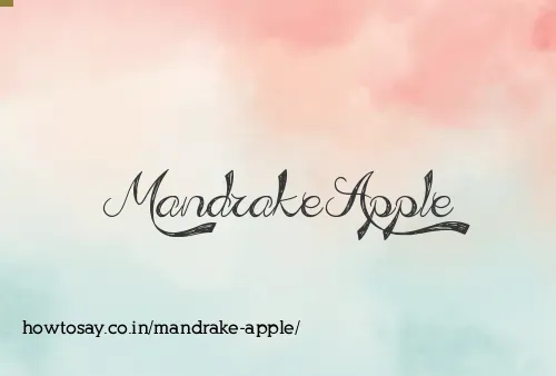 Mandrake Apple