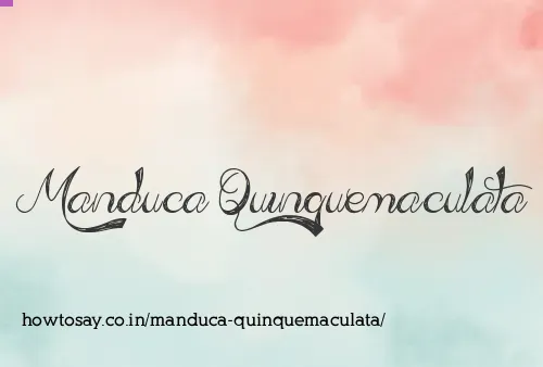 Manduca Quinquemaculata