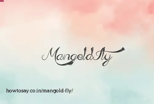 Mangold Fly