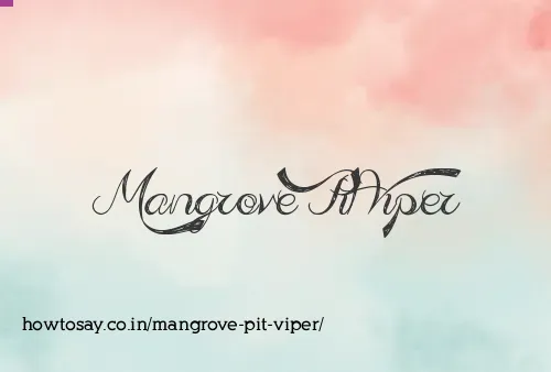 Mangrove Pit Viper