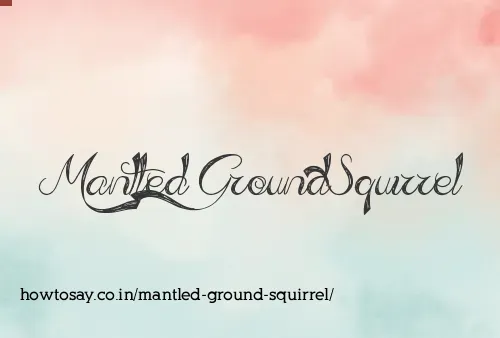 Mantled Ground Squirrel