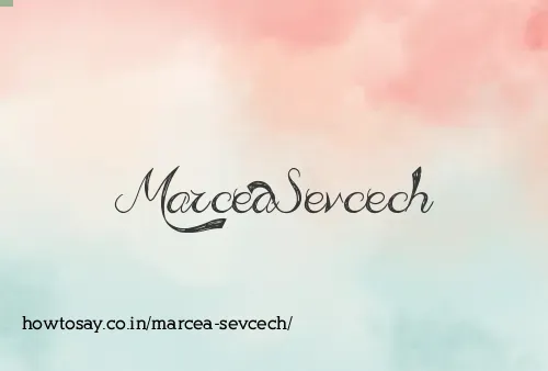 Marcea Sevcech