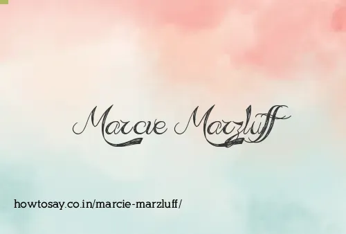 Marcie Marzluff