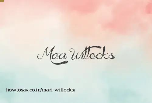 Mari Willocks
