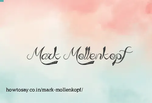 Mark Mollenkopf