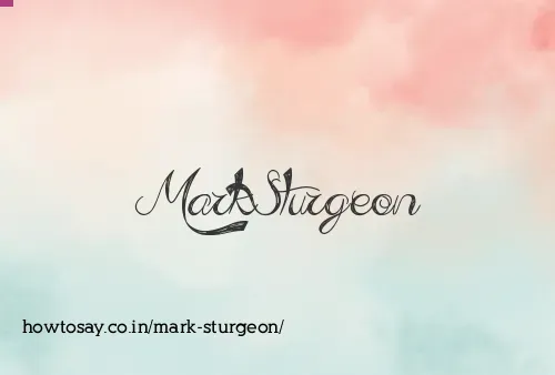 Mark Sturgeon