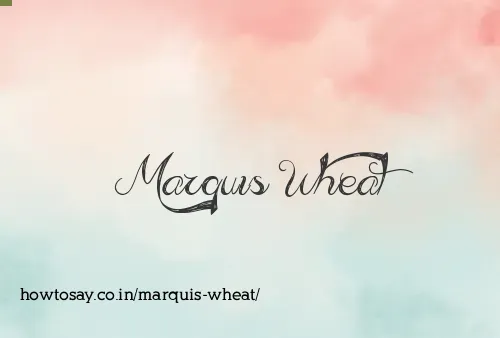 Marquis Wheat