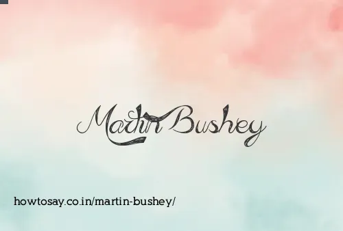 Martin Bushey