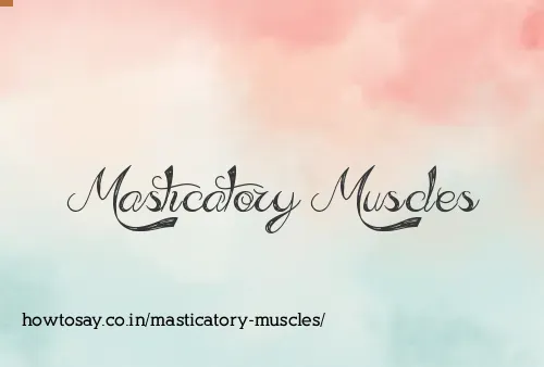 Masticatory Muscles
