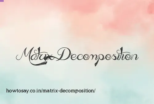 Matrix Decomposition