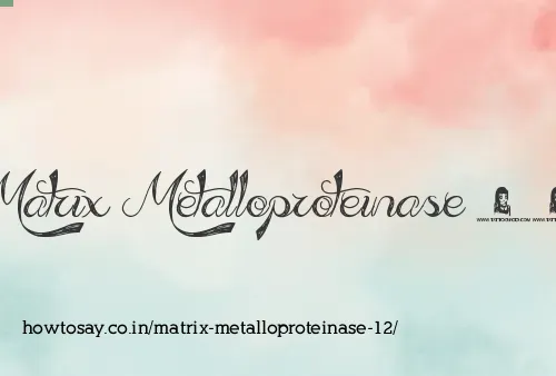 Matrix Metalloproteinase 12