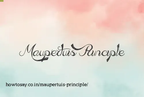 Maupertuis Principle