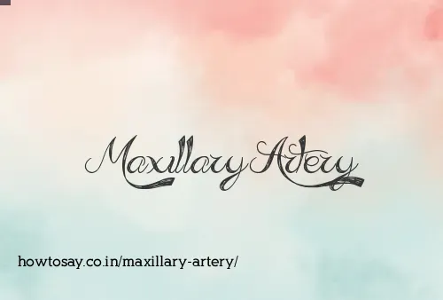 Maxillary Artery