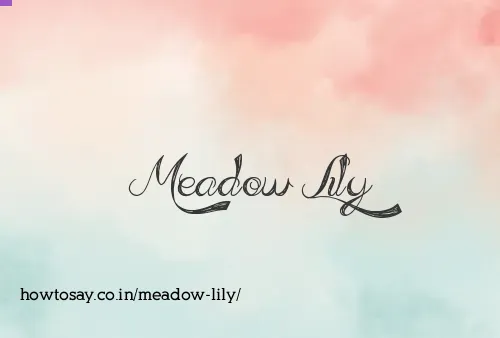 Meadow Lily